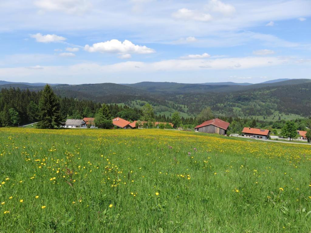 2 Zimmer Mitterdorf Philippsreut Zewnętrze zdjęcie