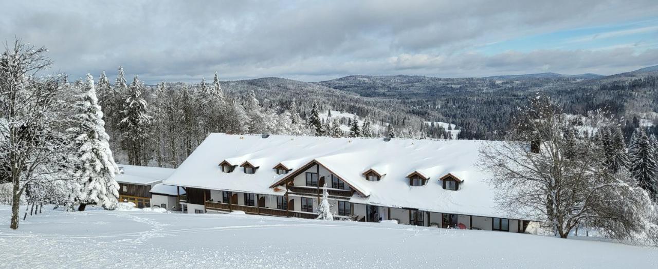 2 Zimmer Mitterdorf Philippsreut Zewnętrze zdjęcie